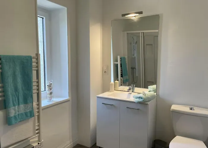 Holiday home Maison Moderne A Avec Jardin Et Animaux Admis - Fr-1-489-341 *